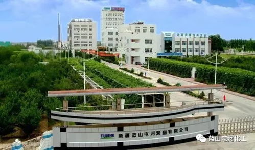 聚酯公司榮膺自治區綠色工廠稱號 以技術引領，鑄就綠色可持續發展新標桿